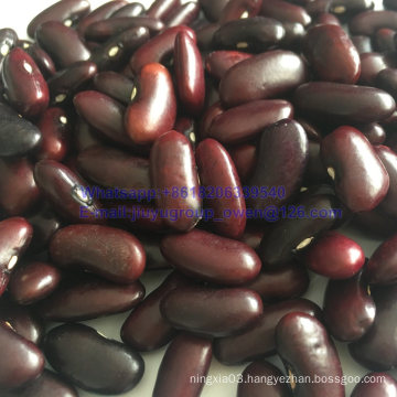 Prompt Shipment New Crop Dark Red Kidney Bean